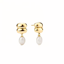 Load image into Gallery viewer, Regina Stud Earrings in Gold