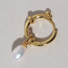Load image into Gallery viewer, Hazel Hoop Earrings in Gold