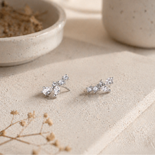 Load image into Gallery viewer, Silver earrings with clear stones