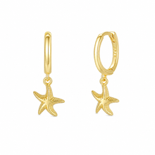 Load image into Gallery viewer, starfish

