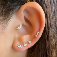 Load image into Gallery viewer, Summer Stud Earring in Silver
